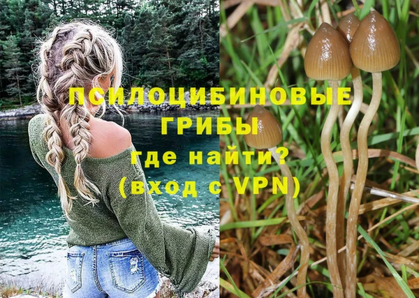 Альфа ПВП Вяземский