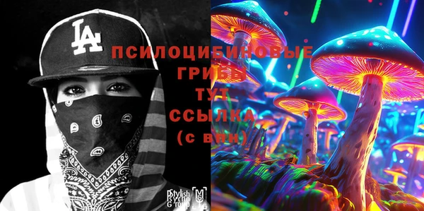 Альфа ПВП Вяземский