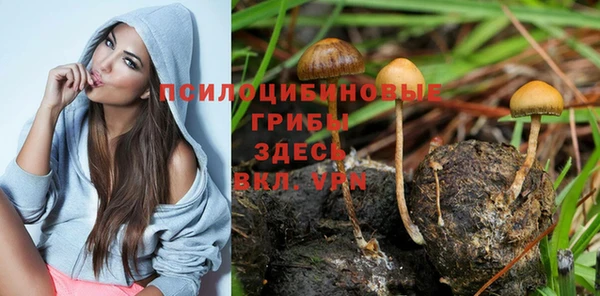 PSILOCYBIN Кострома