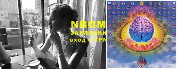 PSILOCYBIN Кострома