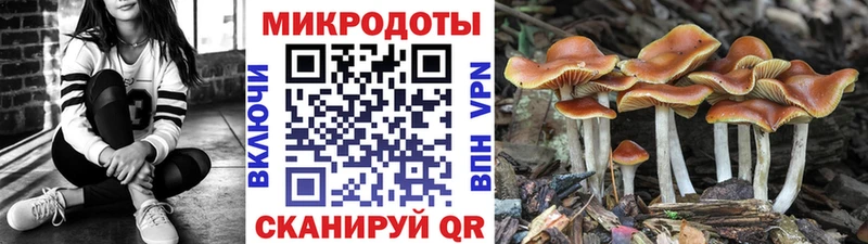 MEGA ссылки  Луза  нарко площадка формула  Галлюциногенные грибы ЛСД 